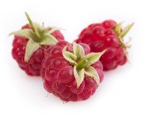 Fresh raspberry