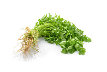 Fresh coriander on white background