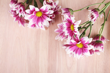beautiful mum flowers on wooden background
