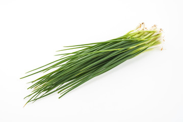 spring onion isolated on white background