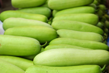green hatch in the market.
