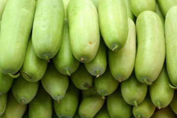 green hatch in the market.