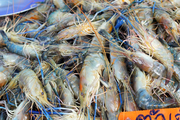 Fresh shrimp in the market