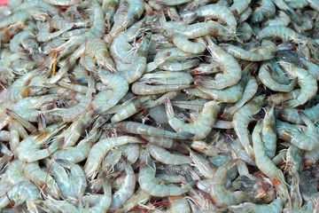 Fresh shrimp in the market