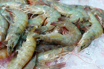 Fresh shrimp in the market