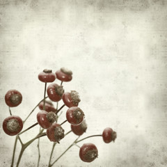 textured old paper background