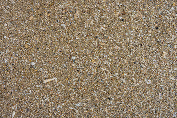 Pebbles and shells on sand beach