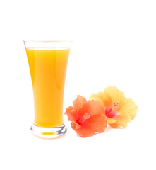 Orange juice and  flower on white background