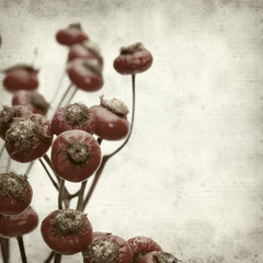textured old paper background