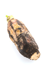 Taro root isolated on white background