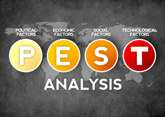 PEST Analysis Diagram of the macro-environmental factors
