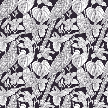 Fototapeta Parrots and tropical flowers. Vector seamless pattern