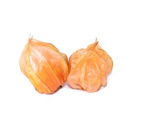Cape berry fruit with white background