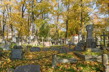 many crosses