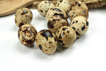 Fototapeta premium oeufs de caille