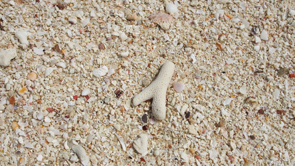texture of sand beach
