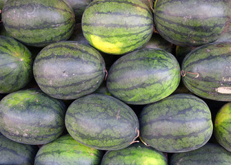 watermelons