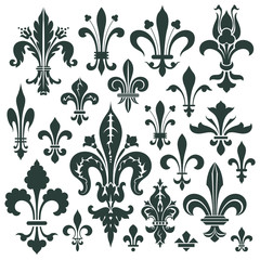 Vector set heraldic lily for decoration and design