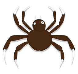 Spooky Halloween Spider