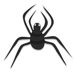 Creepy Halloween Spider