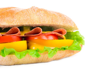 Big delicious sandwich