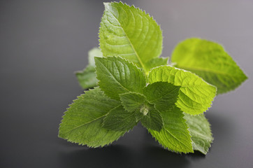 Fresh mint