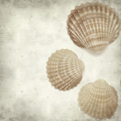 textured old paper background with