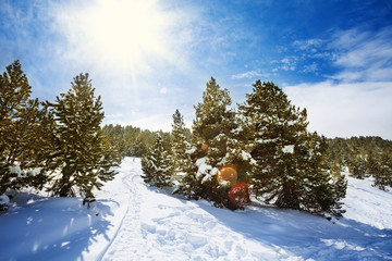 Snow path in snowy mountain forest