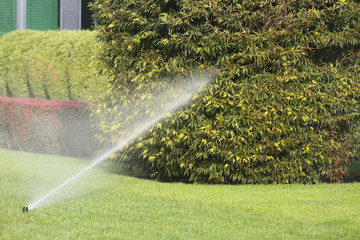 Lawn Sprinkler Spraying Water Over Green Grass in Garden