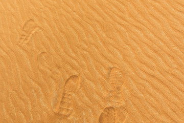 Photo of footprints on the sand of a desert in the United Arab E