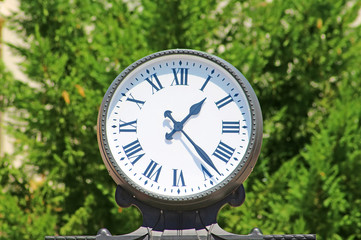 Clock on the green leaves background