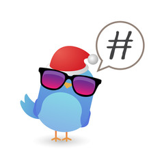 Blue bird with sunglasses and a santa hat