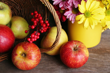 Beautiful chrysanthemum with apples in basket