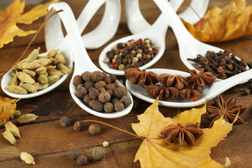 Different spices in spoons with yellow leaves