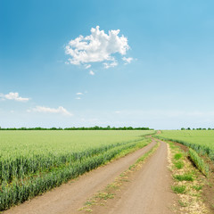 dirty road in green grass and white cloud over it