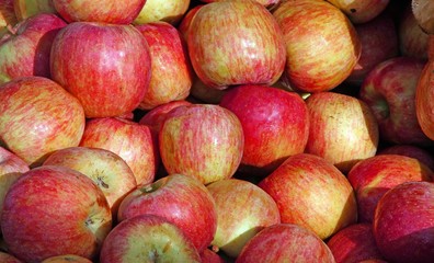 background of red apples