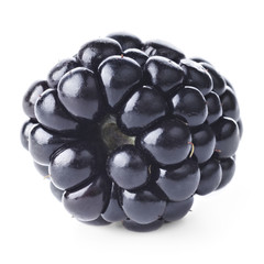 Fresh blackberry on white background