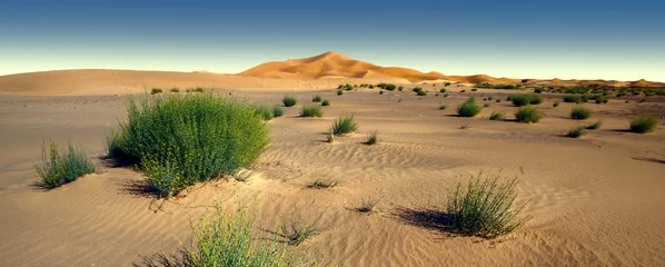 Foto op Plexiglas Amazing panoramic view of Sahara desert in Morocco © Saida Shigapova