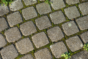 The pattern of pedestrian tile