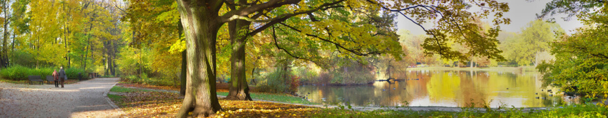 autumnal pond in park - obrazy, fototapety, plakaty