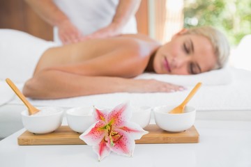 Fototapeta na wymiar Woman receiving back massage at spa center
