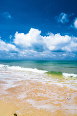 On a Beach Serene Waters