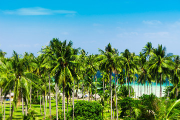 Naklejka premium Relaxation In Peace Jungle Landscape