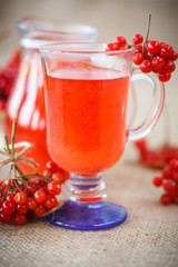 viburnum compote