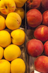 Yellow and red peaches