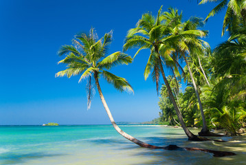 Exotic Paradise Serenity Shore