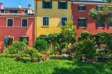Fototapeta na wymiar Сolorful buildings and courtyard with flowers in Burano, Venice