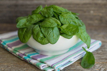 baby spinach in a white plate