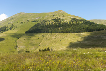 Fototapeta premium Piano Grande di Castelluccio (Italy)