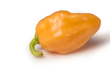 Ripe chili